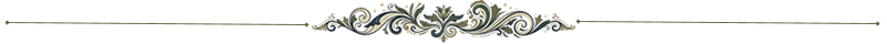 Section Divider