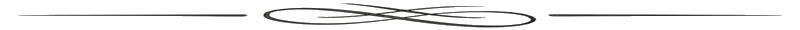 Section Divider